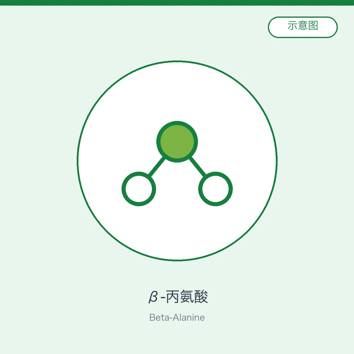 Beta-Alanine
