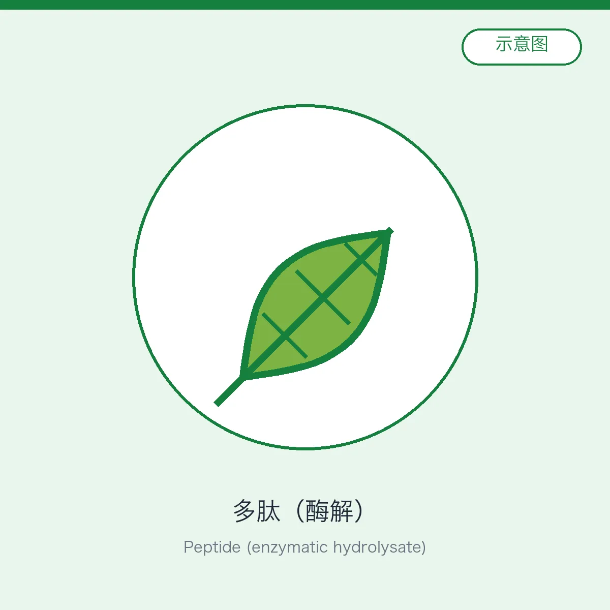 Peptide (enzymatic hydrolysate)