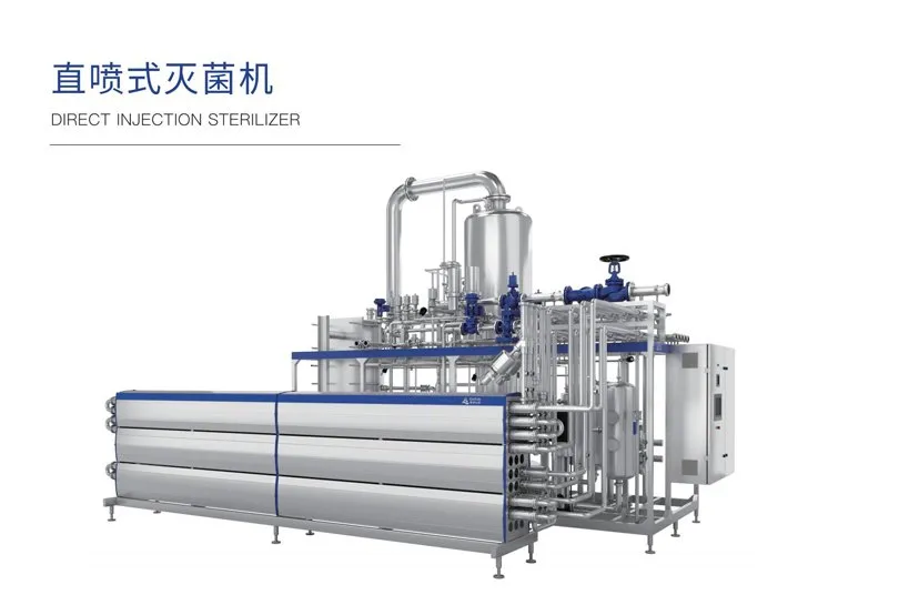 Direct injection sterilizer