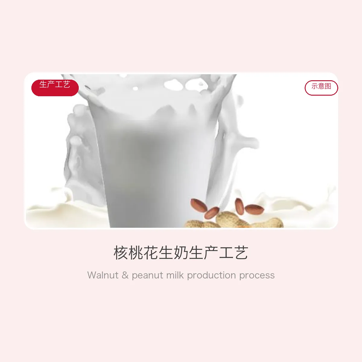 Walnut & peanut milk production process